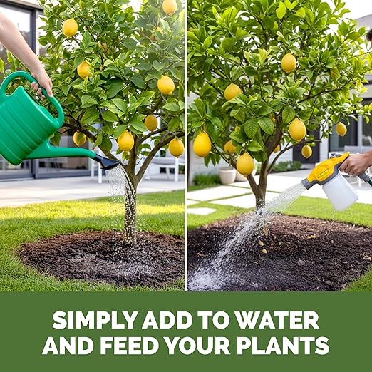 Lemon Tree Fertilizer – Liquid Plant Food for More Fruit, Better Flowering & Stronger Root Development, 1 Gallon