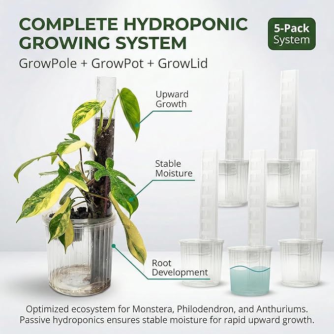 THICCLY Medium GrowLid 5 Pcs (Clear) - Self Watering Clear D-Shaped Plastic Moss Pole Hydroponics Growing System Kratky Hydroponic Kit Moss Pole Monstera Plant Support Philodendron and Anthuriums