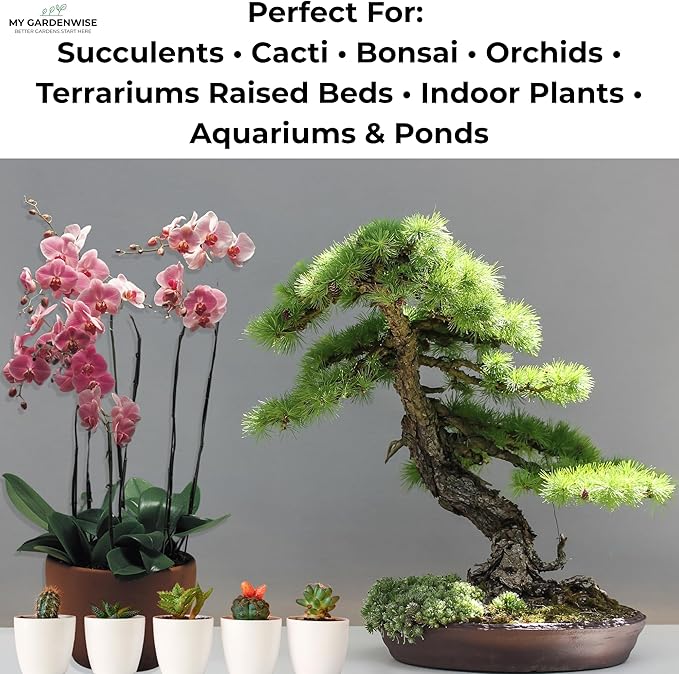 GARDENWISE Lava Rocks for Plants (3/8’’ Minus), Natural Black Lava Rocks, Succulent & Terrarium Horticultural Volcanic Rock, Ideal Drainage for Potted Plants, Made in USA (3 qts - 4.8 lbs)