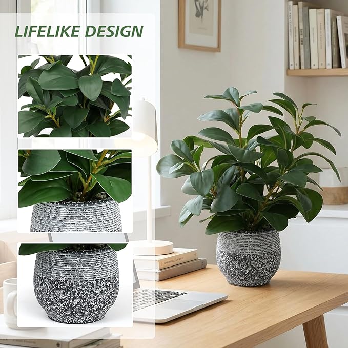 SHOHAYTO Artificial Plants for Home Decor - 13.2 Inch Fake Ficus Tree in Cement Planter, Real Looking Potted Faux Plants for Office Desk, Kitchen Shelf, Bookshelf & Indoor Decor
