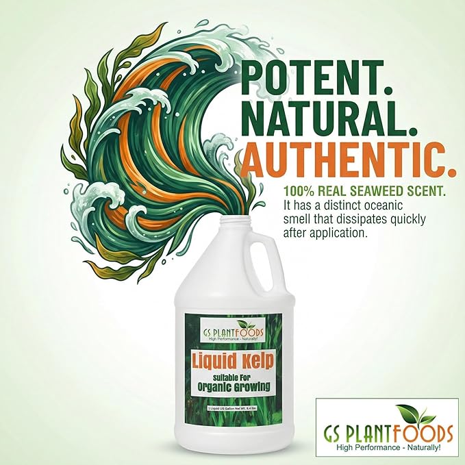 GS Plant Foods Liquid Kelp Fertilizer – Suitable for Organic Growing, OMRI Listed Seaweed Concentrate for Flowers, Gardens, Vegetables & Soil - 1 Quart (Makes Up to 200+ Gallons)