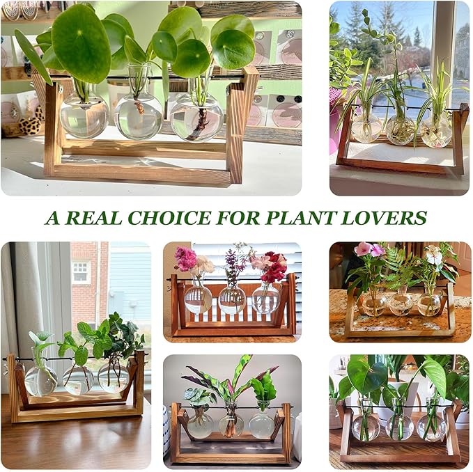 Renmxj Plant Propagation Stations with Wooden Stand & 3 Glass Bulb Vases - Plant Terrarium for Indoor Plants, Home Office Desk Decor, Gardening Gifts for Women Mom, Birthday Gifts for Plants Lovers