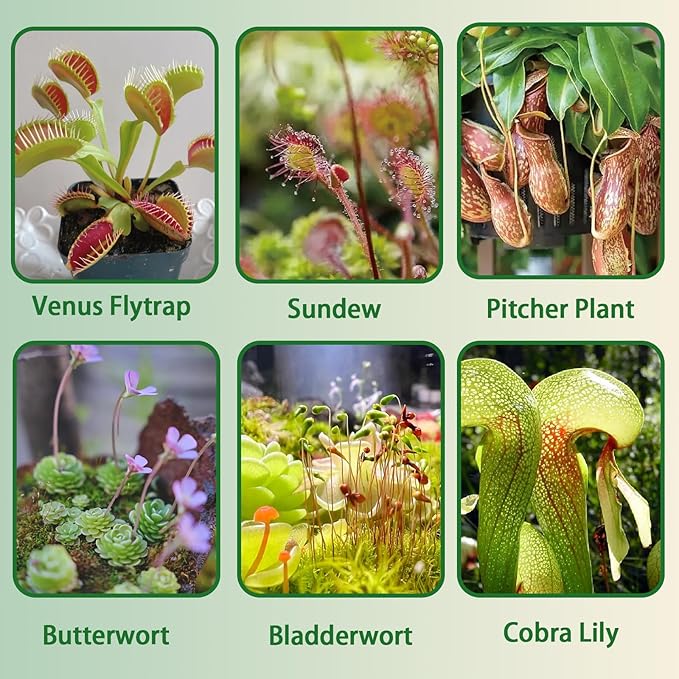 Carnivorous Plant Soil Mix 10qt, Pure Peat Moss and Perlite Mixture for Venus, Pitcher, Butterwort, Nepenthes, Sundew