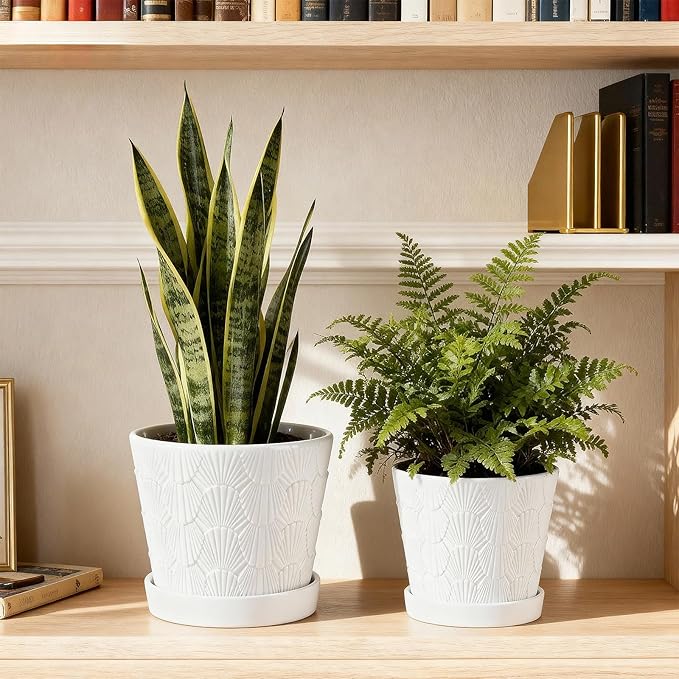 Ceramic Planter,5+6 Inch Ceramic Flower Pots with Drainage Hole&Tray,Embossed Seashell Design Plant pots,Planters for Indoor Plants Succulent Cactus,Flower Pot Home Decor-Set of 2,White