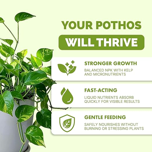 Pothos Fertilizer – Liquid Plant Food for Lush Growth, Stronger Roots & Vibrant Leaves, 8 oz