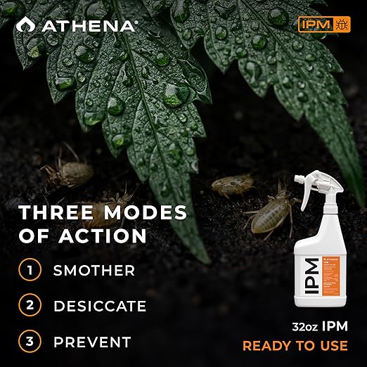 Athena IPM Plant Pest Control Ready-to-Use Spray | Broad Spectrum Fungicide & Insecticide for Indoor and Outdoor Plants | Supports Control of Spider Mites, Powdery Mildew, and Common Plant Pests