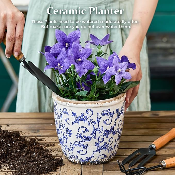 Teweiqi Vintage Ceramic Planter Without Drainage Hole, 6.5 Inch - Indoor/Outdoor Flower Pot for Orchids, Succulents, Blue Floral Rustic Farmhouse Plant Pot for Home, Office & Garden Décor, Ideal Gift