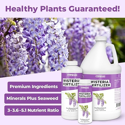 Wisteria Fertilizer – Liquid Plant Food for More Blooms, Stronger Vines & Healthy Root Development, 8 oz