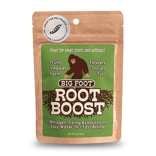 Big Foot Probiotic Root Boost Water Soluble Powder For Established Plants and Transplants - GROW ROOT SIZE, Increase Nitrogen, Grow New Plants from Cuttings, Pea Inoculant - 2 Ounces