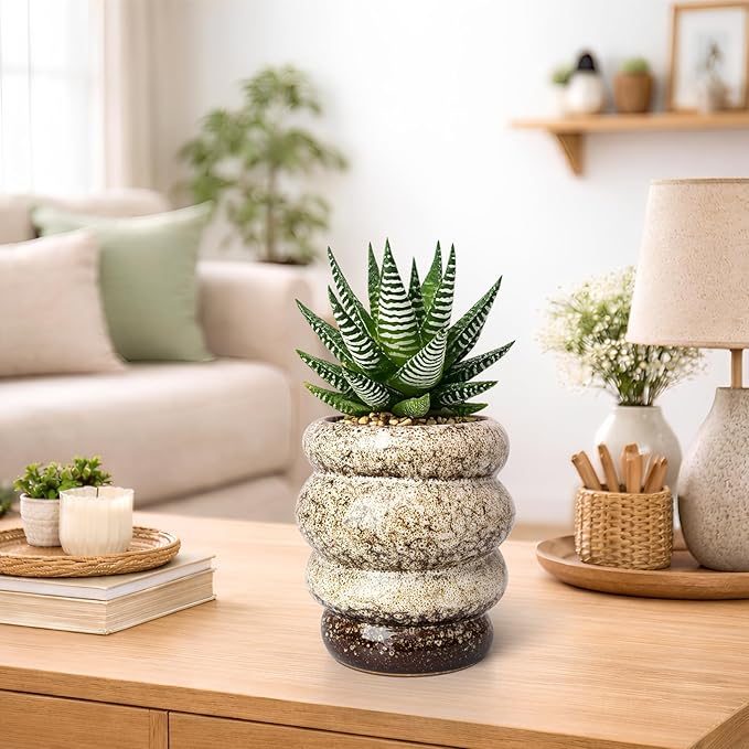Ceramic 5 inch Plant Pot - Planter for Indoor Plants with Drainage Hole, Flower Pots for Orchid, Succulent,Outdoor Plants, Modern Glaze Planters for Home Office Decor Gift