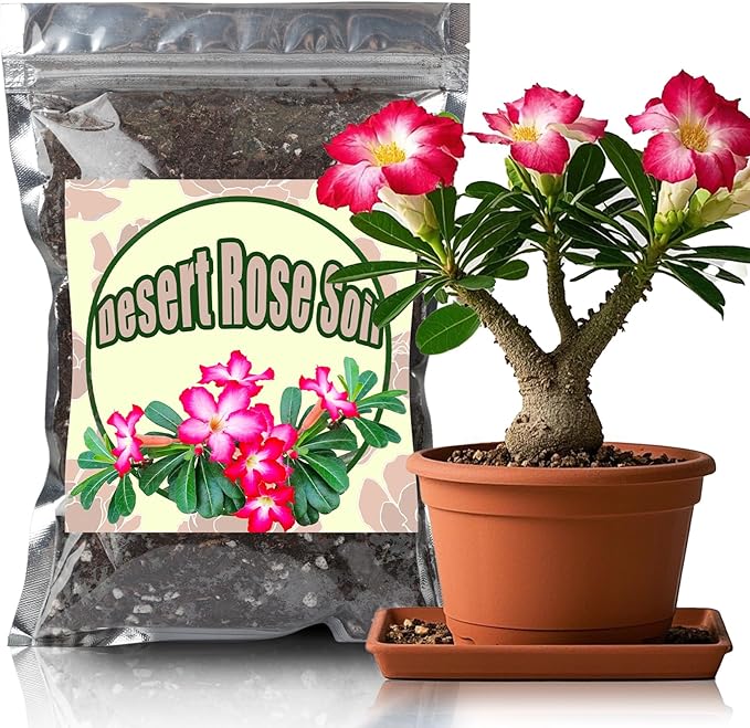 Doter Organic Desert Rose Potting Soil Mix for Healthy Growth 1qt - 100% Natural Potting Mix - Specially Formulated Nutrient-Rich Plant Soil for Desert Rose Plant.