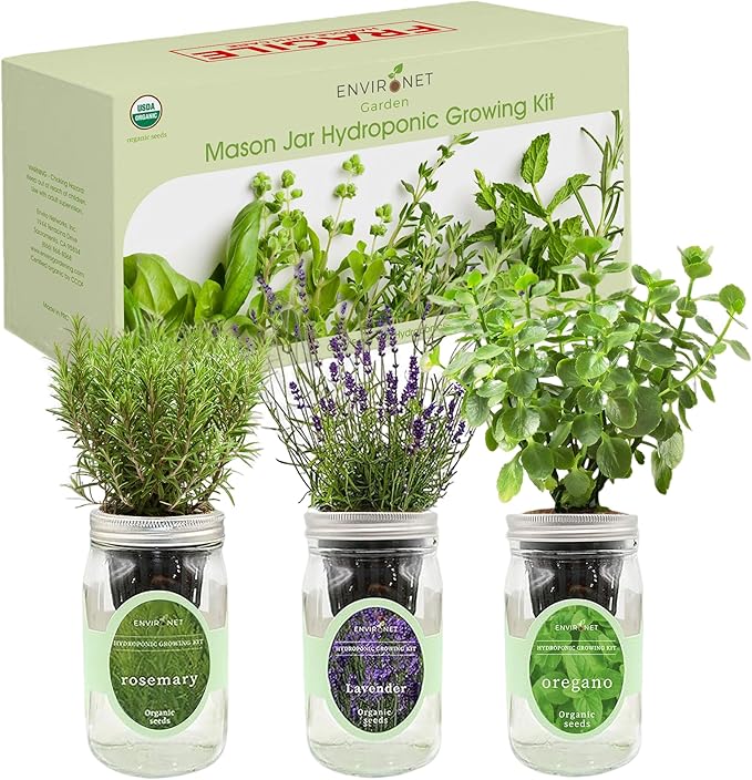 Hydroponic Herb Growing Kit Set, Self-Watering Mason Jar Herb Garden Starter Kit Indoor, Windowsill Herbs Garden, Grow Your Own Herbs from Organic Seeds (Rosemary, Lavender, Oregano)