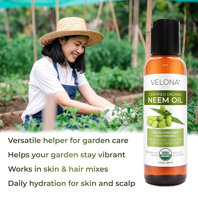 velona Neem Oil USDA Certified Organic - 2 Fl Oz | 100% Pure and Natural Carrier Oil | Virgin, Unrefined, Cold Pressed | Hair, Body and Skin Care | Use Today - Enjoy Results