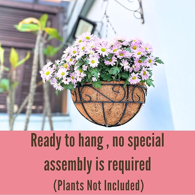 LaLaGreen Hanging Planter for Outdoor Plants (14 Inch, 6 Pack) Hanging Baskets with Coco Liner, Black Metal Wire Flower Basket Pots with Hook Hanger Balcony Porch Farmhouse Country Style Garden Decor