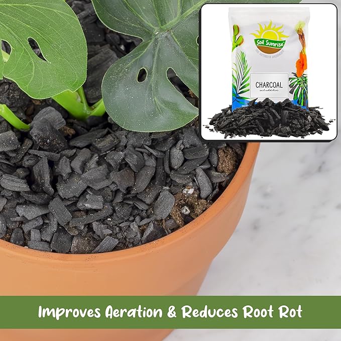 Soil Sunrise Horticultural Charcoal for Indoor Plants (2 Quarts) Hardwood Soil Additive for Orchids, Terrariums, and Gardening