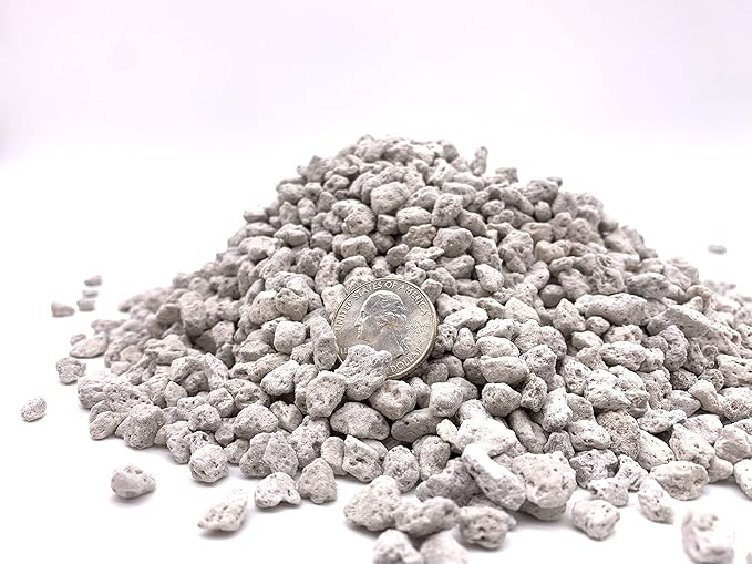 Pumice for Bonsai, Succulent, Cactus, Alocasia, Monstera, and Tropical Aroids | 2 Quarts Bag | 1/4” Particle Size | The Bonsai Supply