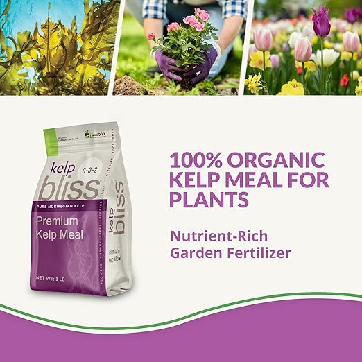 Kelp Bliss (1lb) - Kelp Meal Organic Fertilizer for Plants, Garden Soil, Flowers, Vegetables, & Lawns - Organic Kelp Fertilizer & Soil Amendment - 100% Natural Plant Food Rich in Vitamins & Nutrients
