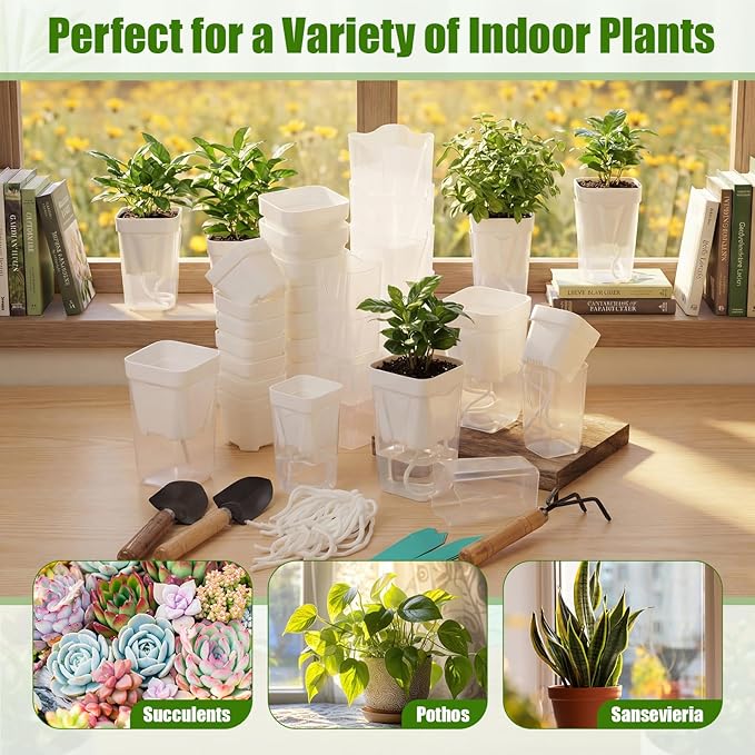 30 Pack 2" 2.5" Small Self Watering Pots for Indoor Plants Clear Mini Self Watering Plant Pot with Water Level Drainage Holes 30 Plastic Label 3 Planting Tools Rope for Propagation Succulent