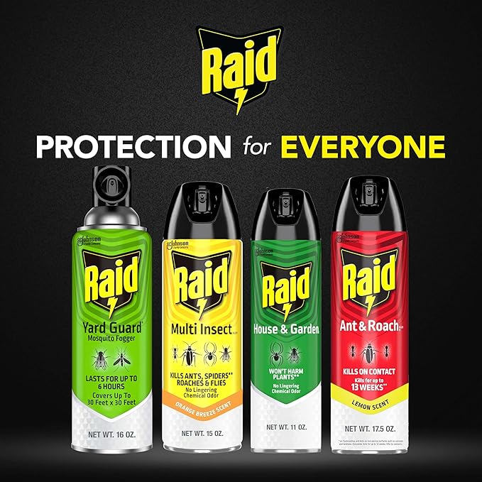 Raid Multi Insect Killer, Orange Breeze 15 Ounce (Pack of 1)