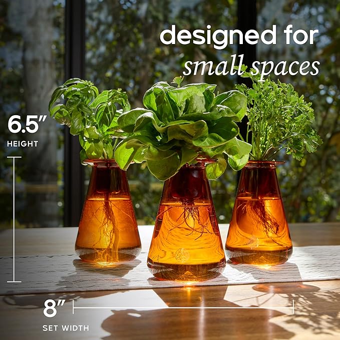 Lettuce Grow Counterstand Hydroponic Garden Kit – Indoor Herb & Lettuce Growing System, Small Countertop Planter, Decorative Vase Design for Kitchen & Home, No Grow Light
