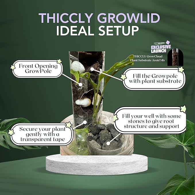 THICCLY Medium GrowLid 5 Pcs (Clear) - Self Watering Clear D-Shaped Plastic Moss Pole Hydroponics Growing System Kratky Hydroponic Kit Moss Pole Monstera Plant Support Philodendron and Anthuriums
