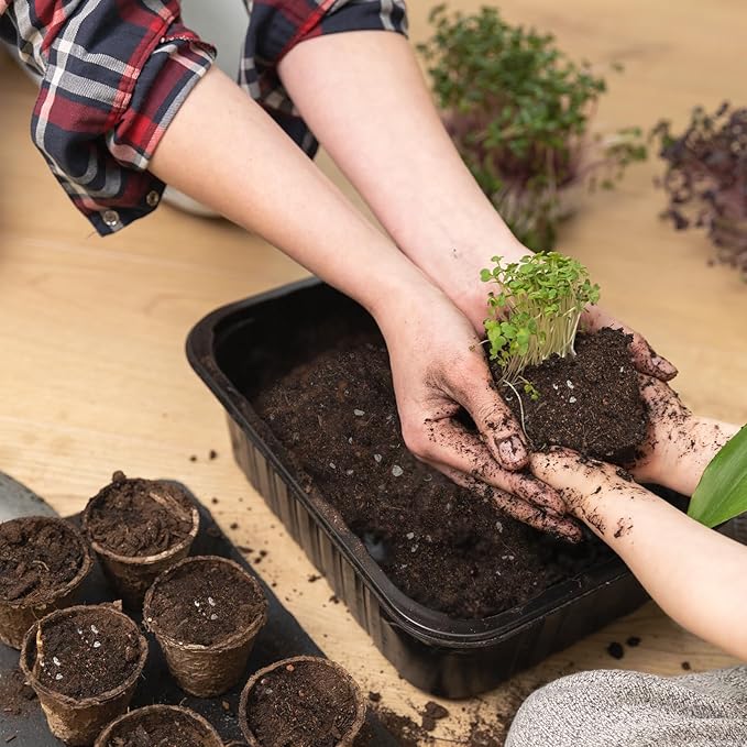 Doter Organic Vegetable Soil Mix 1qt, Indoor Plants Potting Mix for All Potted Vegetable Like Tomatoes Lettuce Bell Peppers, Grow Healthy houseplants Indoors