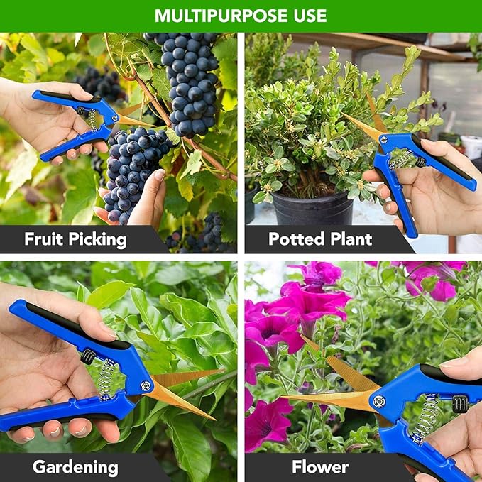 iPower 6.5" Pruning Shear Hand Pruner with Straight Stainless Steel Scissors for Gardening Potting with Titanium Coated Curved Precision Blades, Blue, 3 Pack