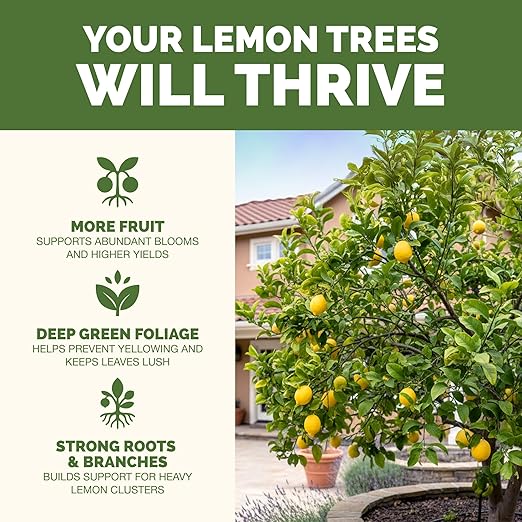Lemon Tree Fertilizer – Liquid Plant Food for More Fruit, Better Flowering & Stronger Root Development, 8 oz