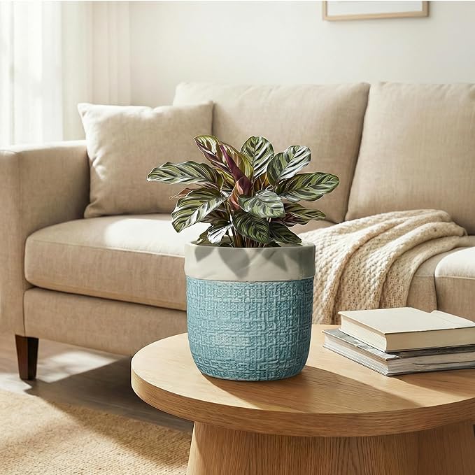 Ceramic Pots for Plants - 6 Inch Plant Pot for Indoor Succulent Plants, Round Planters with Drainage Hole, Decorative Flower Pots, Garden House Room Decor, Gardening Gifts for Women, Blue
