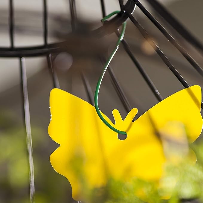 Trappify Sticky Gnat Traps for House Indoor - Yellow Fruit Fly Traps for Indoors | Outdoor Plants | Insect Catcher for White Flies, Mosquitos, Fungus Gnats | Disposable Glue Fly Trap Indoor (12 Pack)