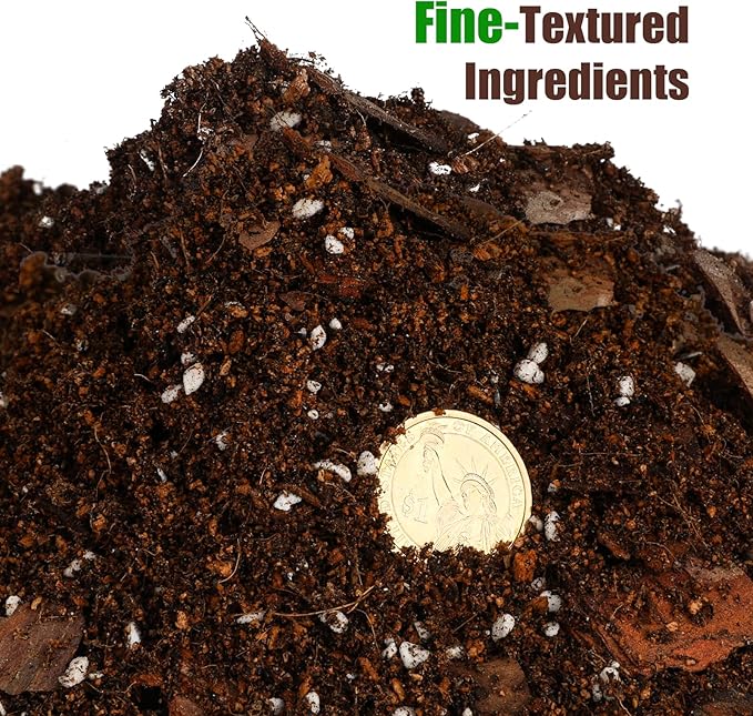 Doter Organic Pothos Soil Mix 4qt, Indoor Plants Potting Mix for All Potted Pothos, Grow Healthy houseplants Indoors