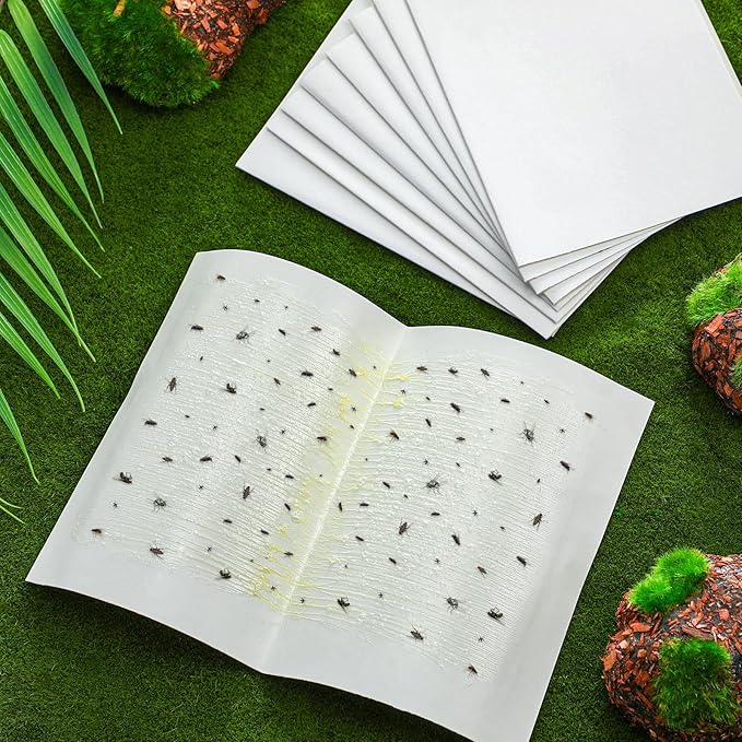 Qualirey 10 Pcs Fly Paper Traps Sticky Adhesive Fly Paper Traps Indoor and Outdoor Fungus Gnat Killer Plants Insect Gnat Catchers Glue Boards for Bug, Whiteflies, Aphids, Pest Control