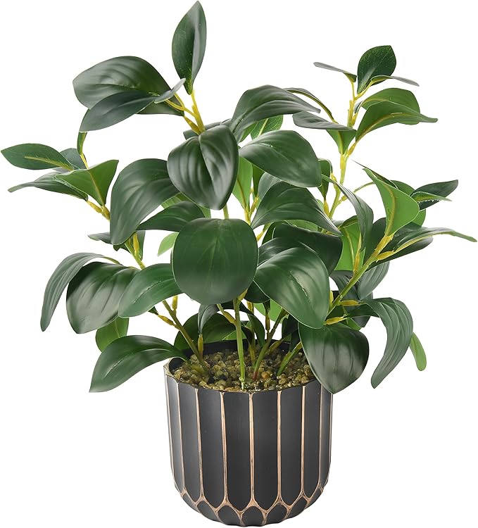 florisso Artificial Succulents & Fig Leaf Potted Decor - Faux Succulents with Fig Leaf Greenery in Black & Gold Plastic Planter (No Actual Figs) for Farmhouse, Bathroom, Bedroom & Office Decor