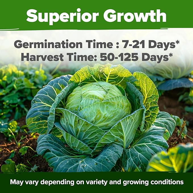 HOME GROWN Cabbage Seeds 7 Variety Mix 2000+ Heirloom Non-GMO, High Germination, Bok Choy, Red & Green Acre, Savoy, Napa Michihili, Copenhagen Market, Jersey Wakefield, Cold Hardy