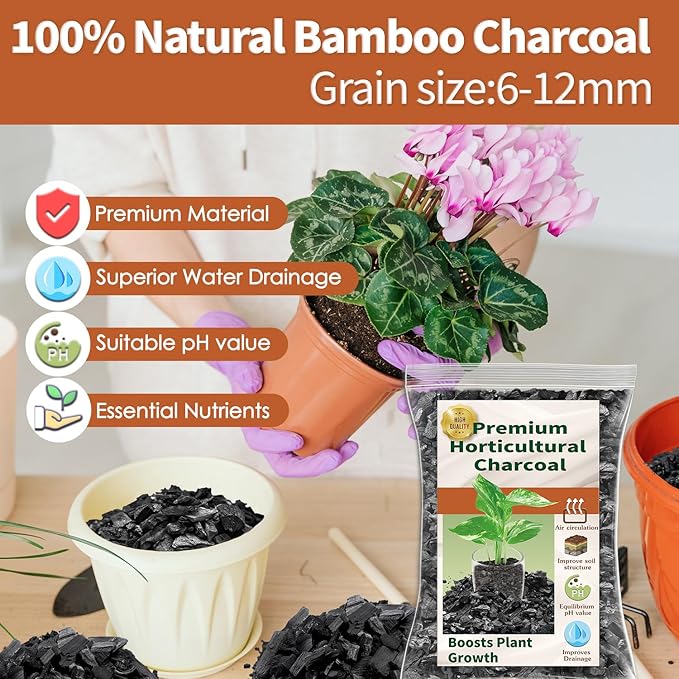 Horticultural Charcoal for Plants,1QT Premium Activated Charcoal for Indoor and Outdoor Plants,Ideal for Soil Amendment, Orchids,Succulent,Cactus, Terrariums & Gardening