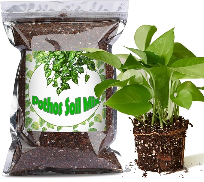 Doter Organic Pothos Soil Mix 4qt, Indoor Plants Potting Mix for All Potted Pothos, Grow Healthy houseplants Indoors