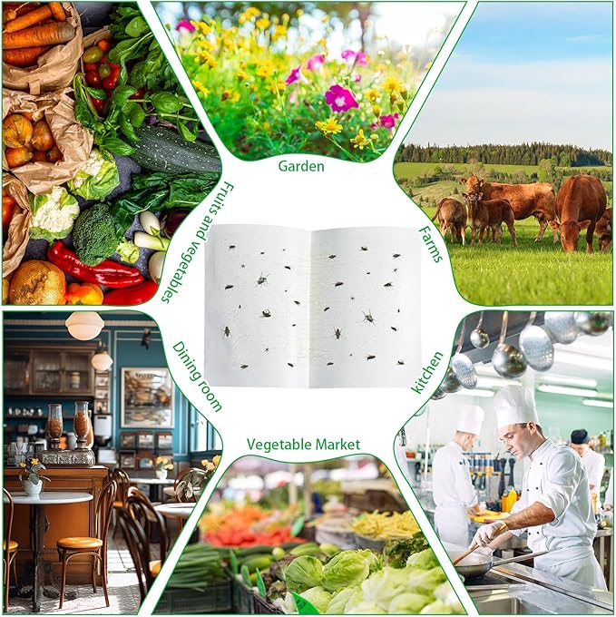 Qualirey 10 Pcs Fly Paper Traps Sticky Adhesive Fly Paper Traps Indoor and Outdoor Fungus Gnat Killer Plants Insect Gnat Catchers Glue Boards for Bug, Whiteflies, Aphids, Pest Control