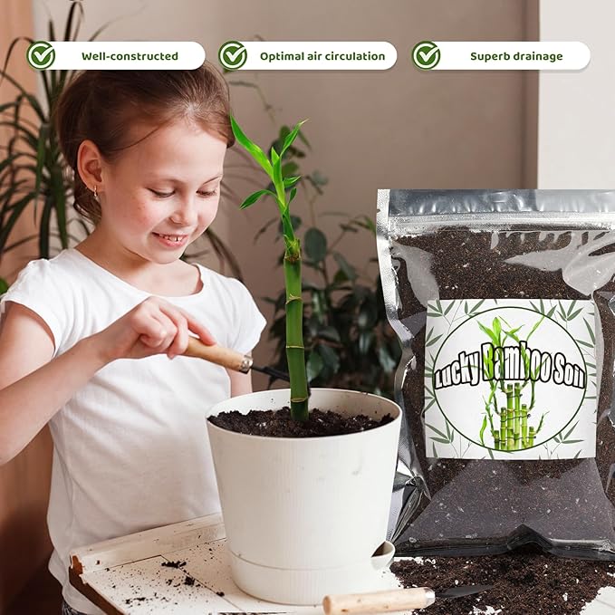 Doter Premium Lucky Bamboo Soil Mix 1qt, Indoor Plants Potting Mix for All Potted Luncky Bamboo, Promote Healthy Growth and Longevity