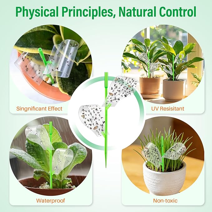 100 Pcs Gnat Sticky Traps for Plants, Sticky Traps for Gnats with 20 Stakes to Control, Aphids, Plant Bug, Mosquito Bits and Whiteflies(Transparent)