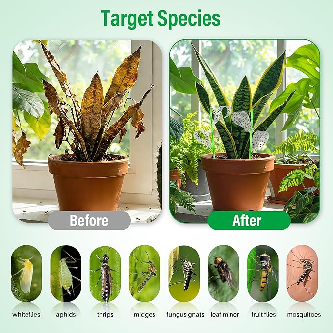 100 Pcs Gnat Sticky Traps for Plants, Sticky Traps for Gnats with 20 Stakes to Control, Aphids, Plant Bug, Mosquito Bits and Whiteflies(Transparent)