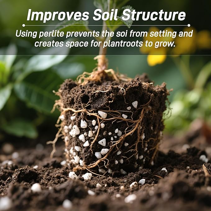 9 Quarts Chunky Perlite for Plant Soil Amendment for Potting Soil, Improves Drainage and Aeration for Soil, Ideal for Succulents, Orchid, Flower Plants (1/4 inch)