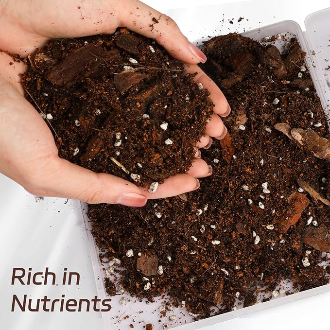 Doter Organic Money Tree Soil Mix 1qt, Indoor Plants Potting Mix for All Potted Money Tree, Grow Healthy houseplants Indoors