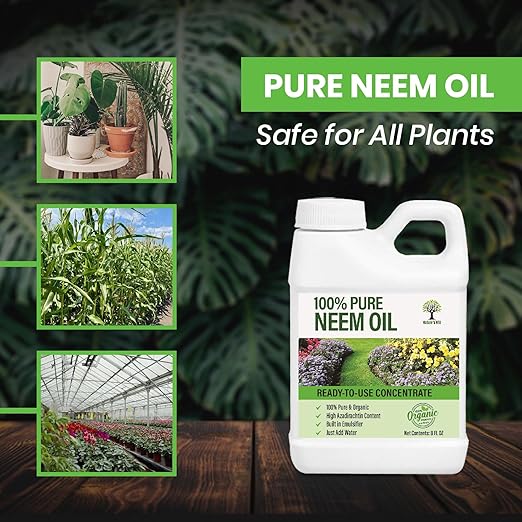 Nature’s Will Pure Ready-to-Use Neem Oil Concentrate | High Azadirachta Content | Just Add Water | Natural Plant Care (8 oz)