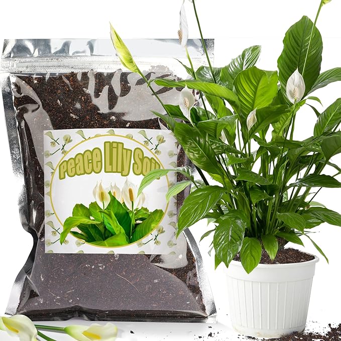 Doter Organic Peace Lily Soil Mix 2qt, Indoor Plants Potting Mix for Planting, Growing, or Repotting Peace Lily Plants, Grow Healthy houseplants Indoors