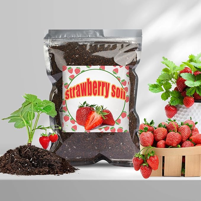 Doter Organic Strawberry Soil Mix 2qt, Indoor Plants Potting Mix for All Potted Strawberry, Grow Healthy houseplants Indoors