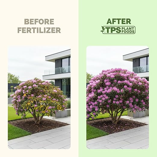 Azalea Fertilizer – Liquid Plant Food for Vibrant Blooms, Rich Green Leaves & Stronger Roots, 1 Gallon