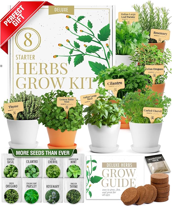 HOME GROWN Gift Herb Kit – 8 Herb Seeds Set with Basil, Cilantro, Mint & More & Herb Garden Planter Indoor Kit – Unique Christmas Gift for Adults, Men, & Women - Grow 4 Heirloom Herb Seeds
