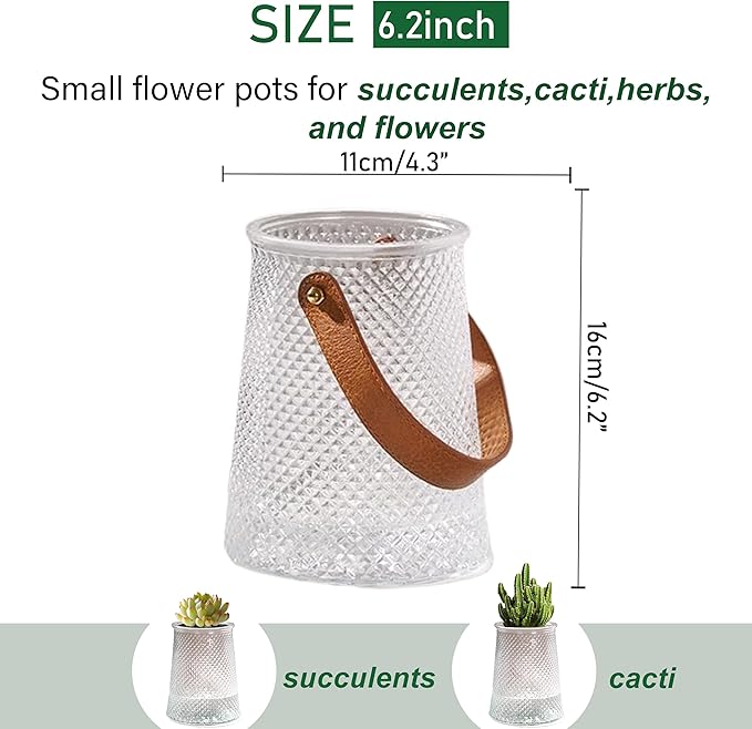 Self Watering Planters 5.9 Inch Self Watering Pots for Indoor Plants, African Violet Pots with Wick Rope, Flowers, Succulents, Herb, House Plants (Transparent Color)
