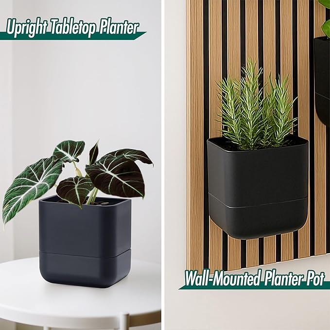 Phoenix Vine 6.5 Inch Wall Mounted Self-Watering Planter Pot for Indoor Houseplants and Herbs | Hanging Planter for Window Sills, Bathroom Walls, Home & Office Décor, Black, Set of 1, 01-C-E-1