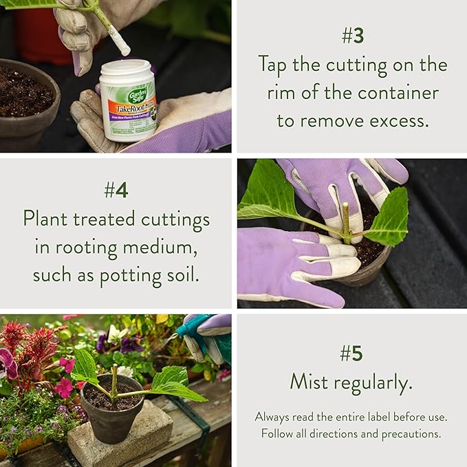 Garden Safe Brand TakeRoot Rooting Hormone, 12 Count, Powder Helps Grow New Plants from Cuttings Including Most Home, Garden and Greenhouse Varieties, 12 Pack